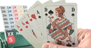 bridgespielen