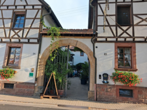 20260816 bridge im weingut 01