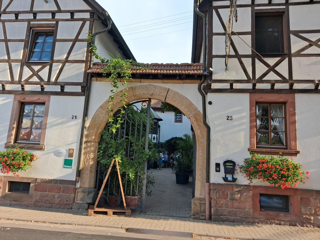 20260816 bridge im weingut 01